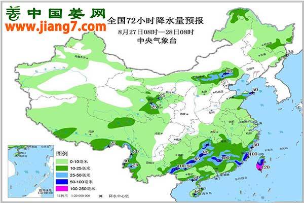 降雨+高温又至，上水姜需及时处理 ()