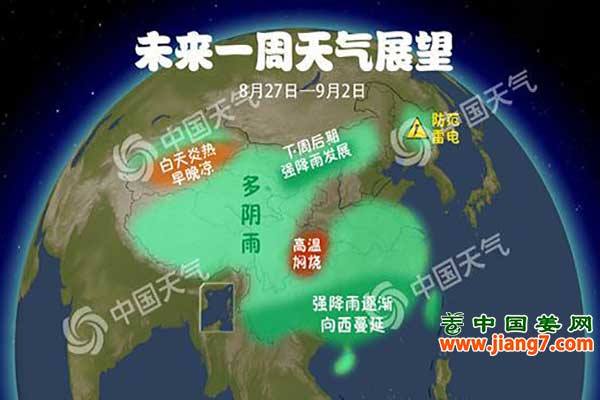 强降雨又来了，及时处理上水姜！ ()