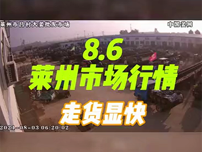 8月6日 莱州生姜交易实况（走货显快） ()