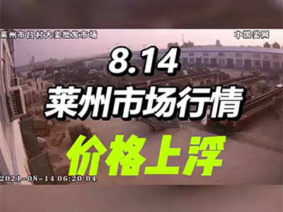 8月14日 莱州生姜交易实况（稳中稍快） ()