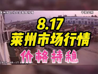 8月17日 莱州生姜交易实况（价格持稳） ()