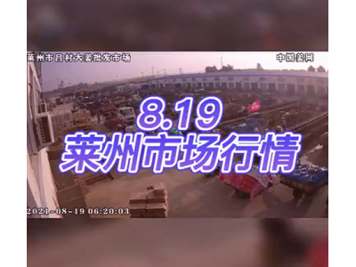 8月19日 莱州生姜交易实况（交易显疲） ()