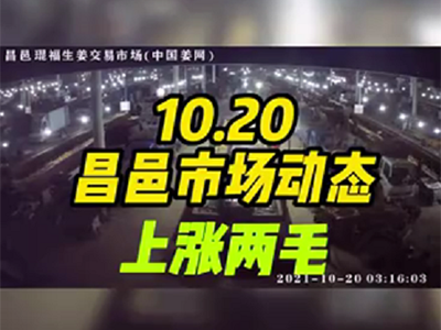 10月20日 昌邑生姜交易实况（价格上涨2毛） ()