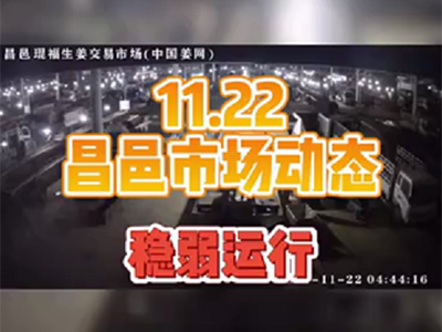 11月22日 昌邑生姜交易实况（行情稳弱） ()