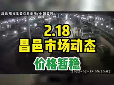 2月18日 昌邑生姜交易实况（价格暂稳） ()