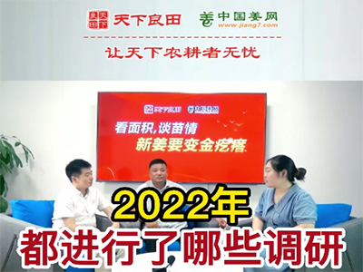 2022年都进行了哪些调研？ ()