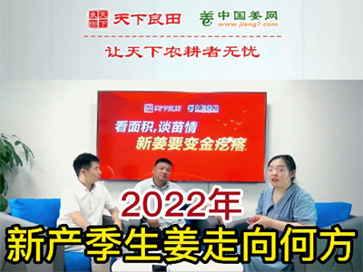 2022年新产季生姜走向何方？ ()