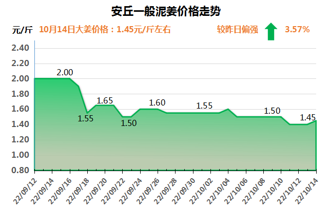 安丘下午