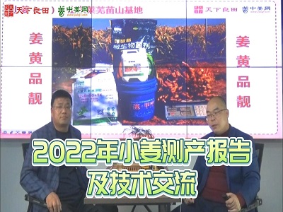 2022年小姜测产报告及技术交流 ()