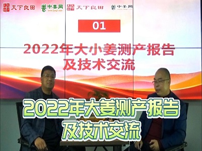 2022年大姜测产报告及技术交流 ()