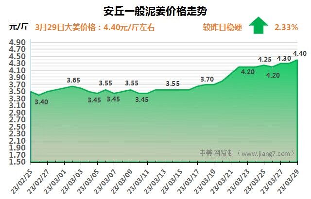 安丘下午