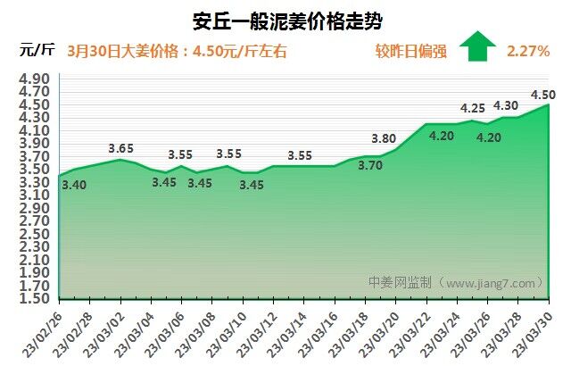 安丘下午