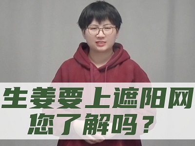 生姜要上遮阳网您了解吗？ ()