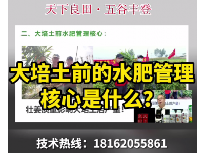 生姜大培土前的水肥管理核心是什么？ ()