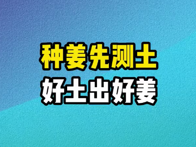 种姜先测土 好土出好姜 ()