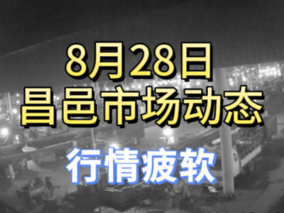 8月28日 琨福市场大姜价格（行情疲软） ()