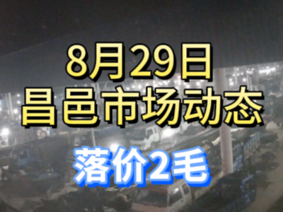 8月29日 琨福市场大姜价格（落价2毛） ()