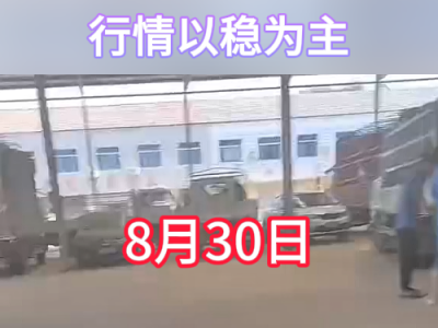 8月30日下午安丘黑埠子市场（以稳为主） ()