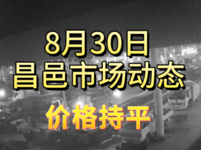 8月30日 琨福市场大姜价格（价格持平） ()