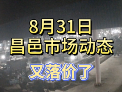 8月31日 琨福市场大姜价格（又落价了） ()