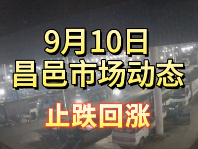 9月10日 琨福市场大姜价格（止跌回涨） ()