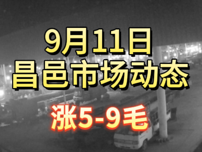 9月11日 琨福市场大姜价格（涨5-9毛） ()