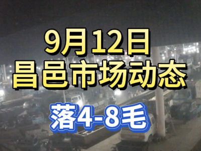 9月12日 琨福市场大姜价格（落4-8毛） ()