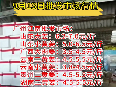 9月13日广州江南批发市场生姜价格行情 ()