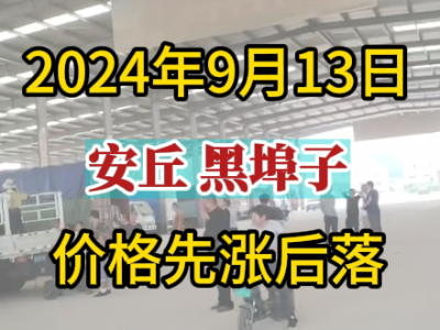 9月13日下午安丘黑埠子市场（先涨后落） ()