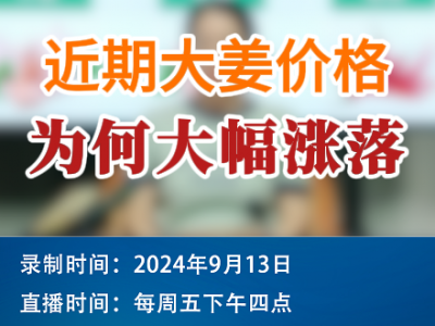 农情漫谈：近期大姜价格为何大幅涨落 ()