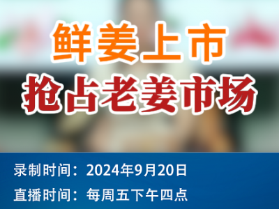 农情漫谈：鲜姜上市 抢占老姜市场 ()