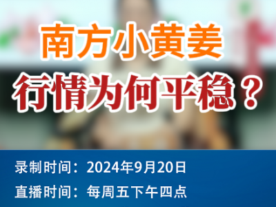 农情漫谈：南方小黄姜行情为何平稳？ ()