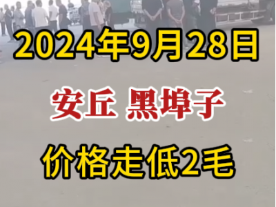 9月28日下午安丘黑埠子市场（价格走低2毛） ()