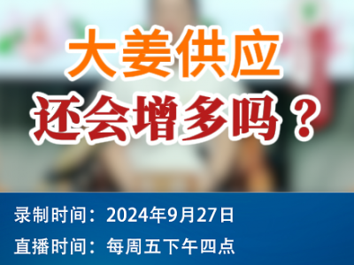 农情漫谈：大姜供应还会增多吗？ ()