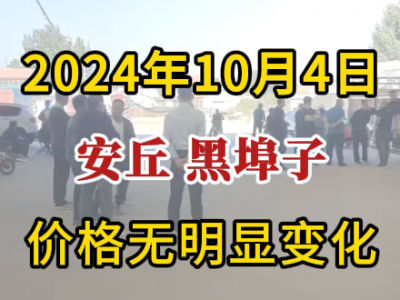 10月4日下午安丘黑埠子市场（价格无明显变化） ()