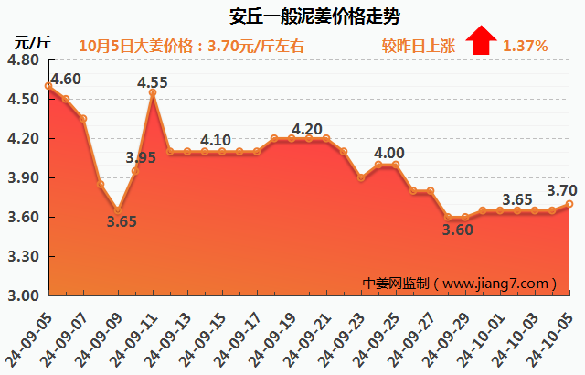 安丘下午