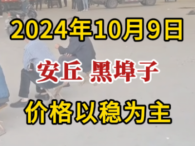 10月9日下午安丘黑埠子市场（价格以稳为主） ()