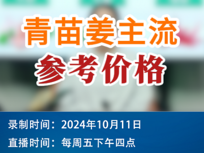 农情漫谈：青苗姜主流参考价格 ()