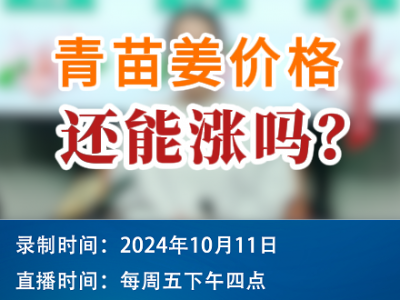 农情漫谈：青苗姜价格还能涨吗？ ()