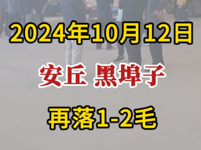 10月12日下午安丘黑埠子市场（再落1-2毛） ()