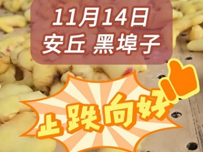 10月14日下午安丘黑埠子市场（止跌向好） ()