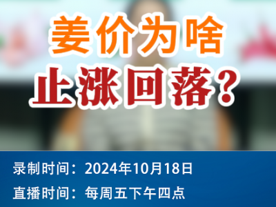 农情漫谈：姜价为啥止涨回落？ ()