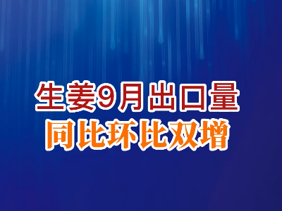 老石说姜：生姜9月出口量同比环比双增 ()