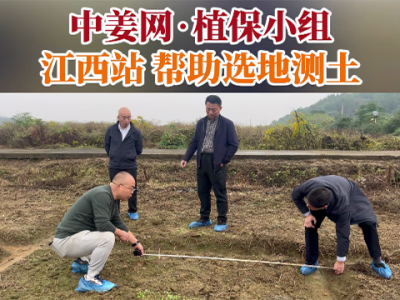 中姜网植保小组帮助江西姜友选地测土 ()