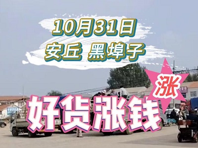 10月31日 安丘黑埠子（好货涨钱） ()