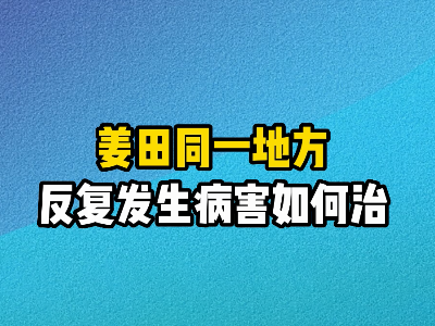 姜田同一地方反复发生病害如何治？ ()