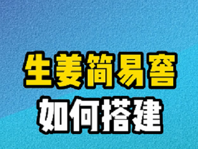 生姜简易窖如何搭建？ ()