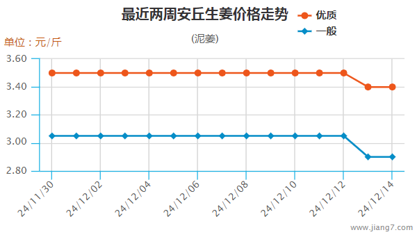 图片7